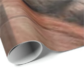 オランウタンラッピング紙 ラッピングペーパー (ロールコーナー)