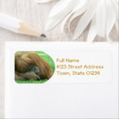 オランウタン差出人住所ラベル ラベル (インサイチュ)