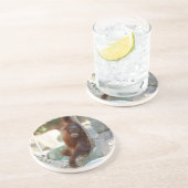 オランウタン001 コースター (側面)