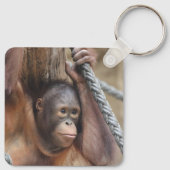 オランウタン002 キーホルダー (裏面)