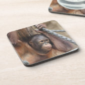 オランウタン002 コースター (左側)