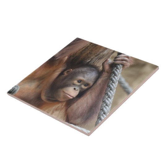 オランウタン002 タイル (側面)