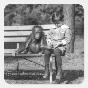 オランウータンおよび男の子-国民の動物園 スクエアシール