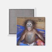 オランウータンが大好き マグネット (正面/裏面)