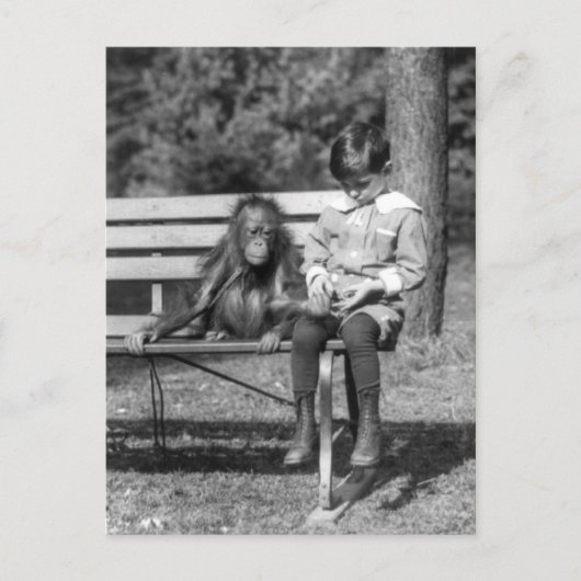 オランウータンと少年 – 国立動物園 ポストカード (正面)