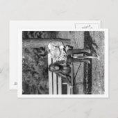 オランウータンと男の子(国立動物園の写真) ポストカード (正面/裏面)