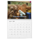 オランウータンによるクリスマスの12日 カレンダー (3月 2027)