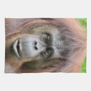 オランウータンのふきん キッチンタオル