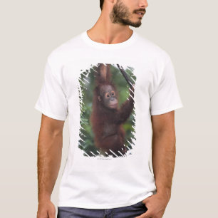 オランウータンのベビーの登山のつる植物 Tシャツ