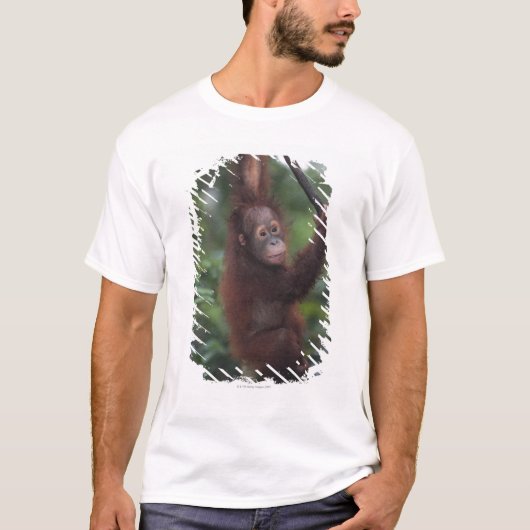 オランウータンのベビーの登山のつる植物 Tシャツ (正面)