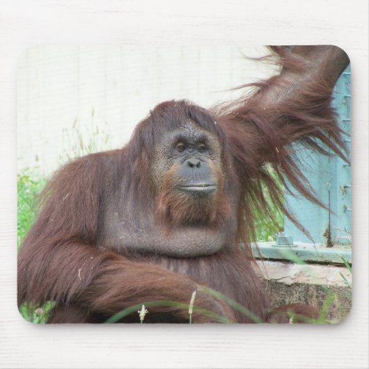 オランウータンのマウスパッド マウスパッド (正面)