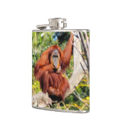 オランウータンの写真 フラスク (左)