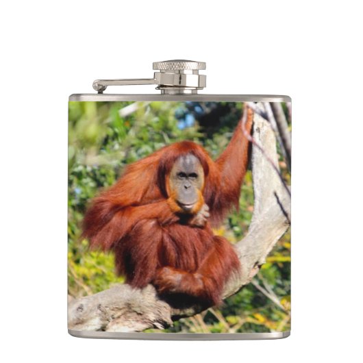 オランウータンの写真 フラスク (正面)