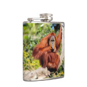 オランウータンの写真 フラスク (右)