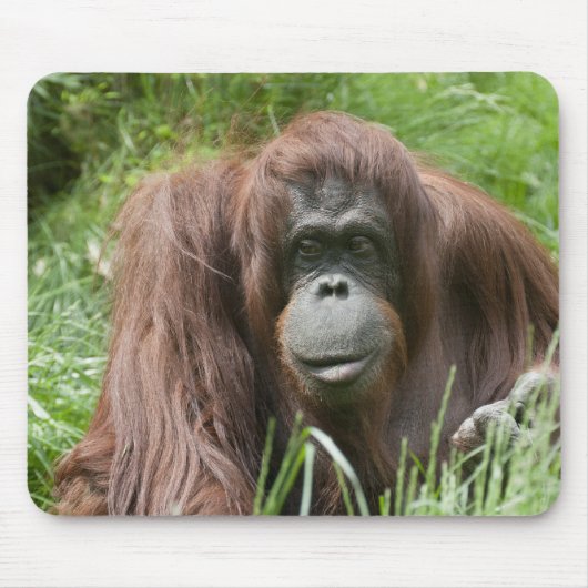 オランウータンの女性 マウスパッド (正面)