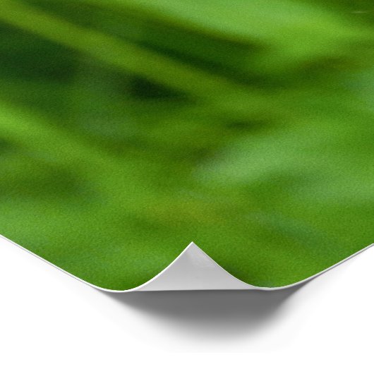 オランウータンの思いやりのある視線 ポスター (角)