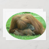 オランウータンの招待状 招待状 (正面/裏面)