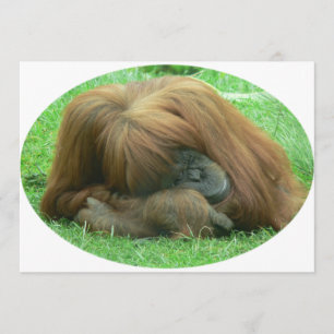オランウータンの招待 招待状