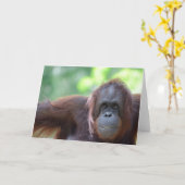 オランウータンの挨拶状 カード (黄色い花)