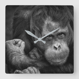 オランウータンの柱時計 スクエア壁時計