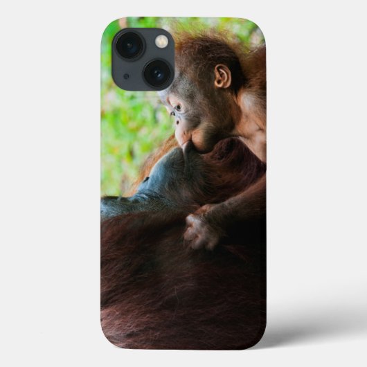 オランウータンの母およびベビー Case-Mate iPhoneケース (裏面)