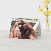 オランウータンの母の日のカード カード (黄色い花)