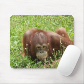 オランウータンの皮及びシークのマウスパッド マウスパッド (マウス)