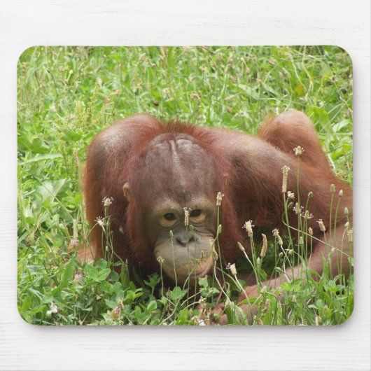 オランウータンの皮及びシークのマウスパッド マウスパッド (正面)