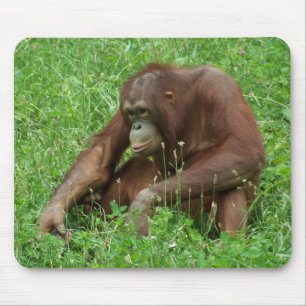 オランウータンの着席のポートレートのマウスパッド マウスパッド