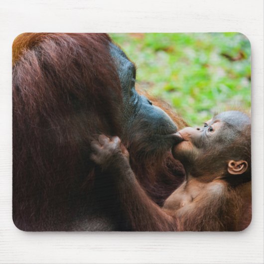 オランウータンの親子 マウスパッド (正面)