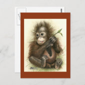 オランウータンの赤ちゃんと葉 ポストカード (正面/裏面)