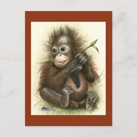 オランウータンの赤ちゃんと葉 ポストカード (正面)