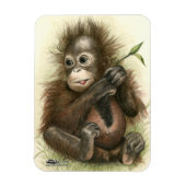 オランウータンの赤ちゃんと葉 マグネット (縦)