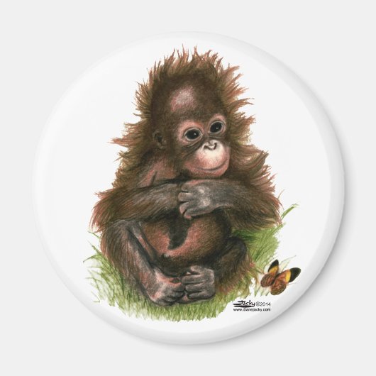 オランウータンの赤ちゃんと蝶 マグネット (正面)