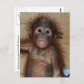 オランウータンの赤ちゃんの笑顔 - おむつを履いたボルネオの可愛い子 ポストカード (正面/裏面)