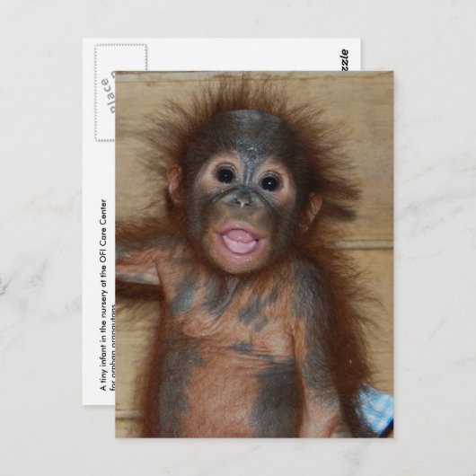 オランウータンの赤ちゃんの笑顔 - おむつを履いたボルネオの可愛い子 ポストカード (正面/裏面)