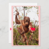 オランウータンバレンタインデー シーズンカード (正面/裏面)