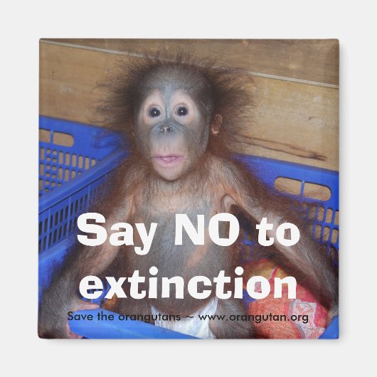 オランウータン保存 マグネット (正面)