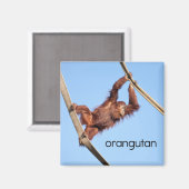 オランウータン冷凍機磁石 マグネット (正面/裏面)