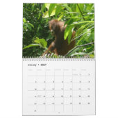 オランウータン動物写真 カレンダー (1月 2027)