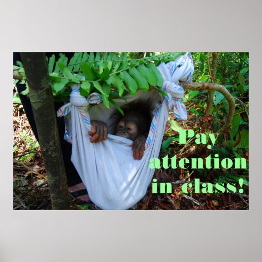 オランウータン学校の森へ ポスター (正面)