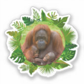 オランウータン族の絆 シール (正面)