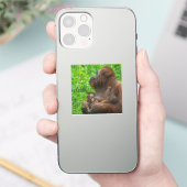 オランウータン母とベビー シール (スマートフォン)