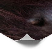 オランウータン母とベビー ポスター (角)