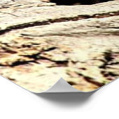 オランウータン猿アートフォトポスター ポスター (角)