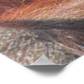 オランウータン目 ポスター (角)