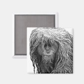 オランウータン磁石 マグネット (正面/裏面)