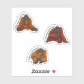 「オランウータン種」ステッカー シール (シート)