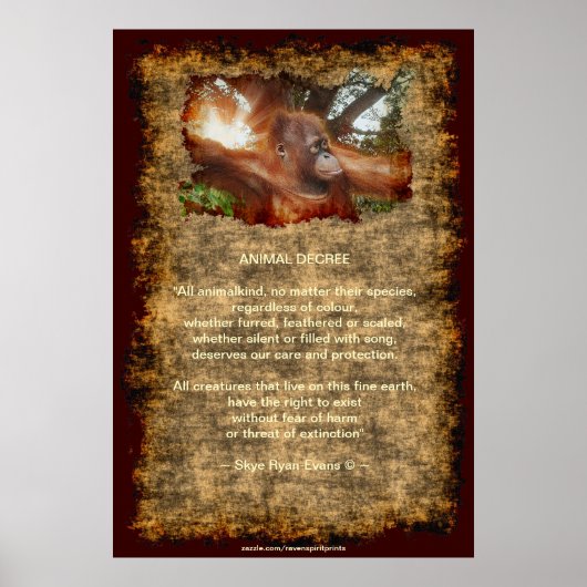 オランウータン絶滅の危機に瀕した野生動物動物令ポスター ポスター (正面)