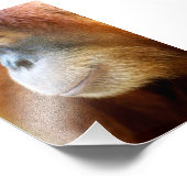 オランウータン縦断 フォトプリント            (角)